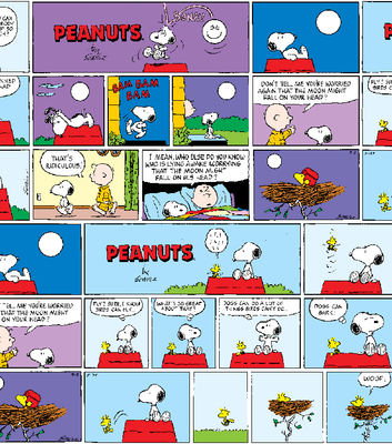 Peanuts Sunday Comic